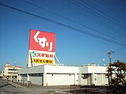 スギ薬局 南彦根店（110m）