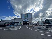 フレンドマート彦根店（640m）