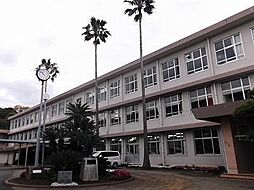 Arcadia恒久
