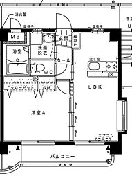 ユーミー南延岡 4階1LDKの間取り
