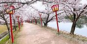 小城公園(230m)