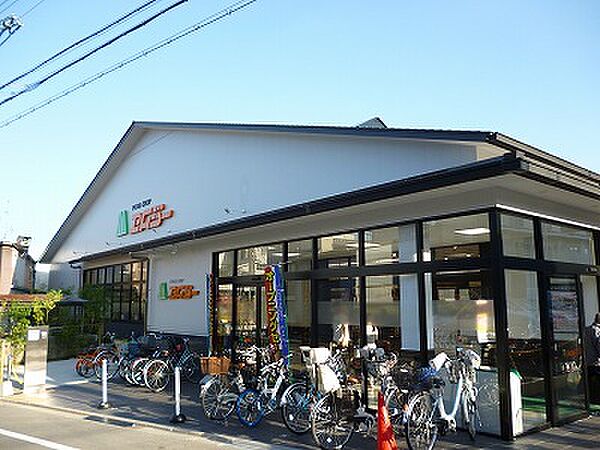 画像18:FOOD SHOP（フードショップ）エムジー 鞍馬口店（297m）