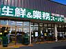 周辺：業務スーパー 伏見店（355m）