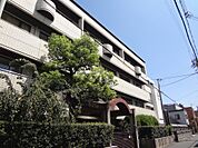 京都中央看護保健大学校（1524m）