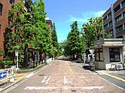京都大学 北部キャンパス（1602m）