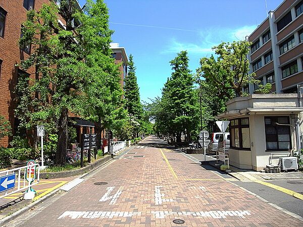 ブランネージュ銀閣寺道 206｜京都府京都市左京区北白川久保田町(賃貸マンション1K・2階・28.58㎡)の写真 その19