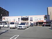 ライフ 梅津店（517m）