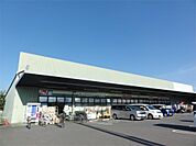 ジャパン 京都南店（451m）