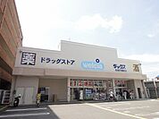 ダックス 右京花屋町店（350m）