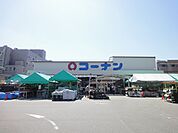 ホームセンターコーナン かどの四条外大前店（812m）