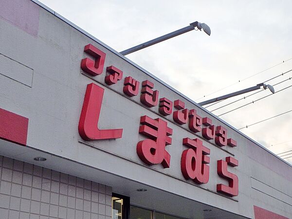画像13:ファッションセンターしまむら栃木店 894m