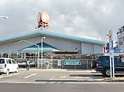 コメリハード＆グリーン野木店 415m