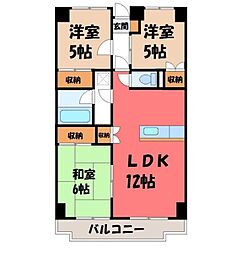 スカイシティー神山 8階/-