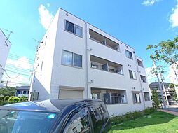 ラシーネ扇サクラ