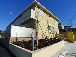 オアシス パティオ 206