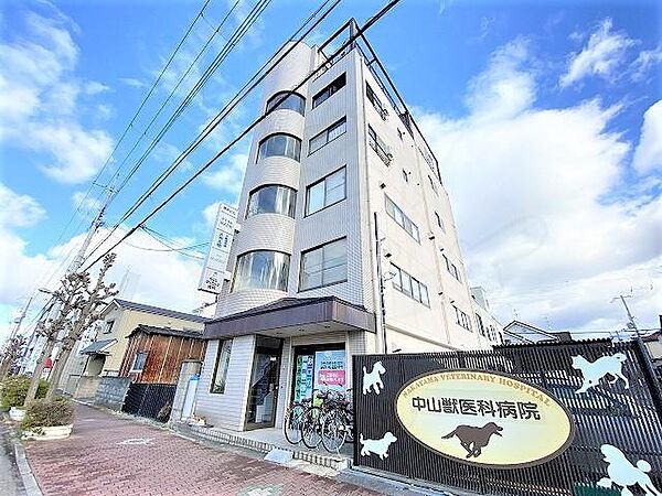 パシフィック清和 ｜奈良県奈良市西木辻町(賃貸マンション1DK・5階・26.50㎡)の写真 その1