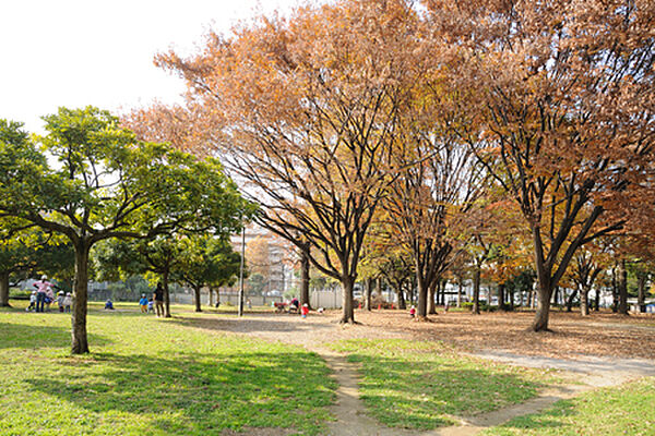 画像16:青山公園