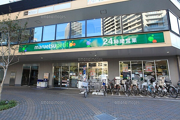 画像28:マルエツプチ 鮫洲駅東口店[900m]