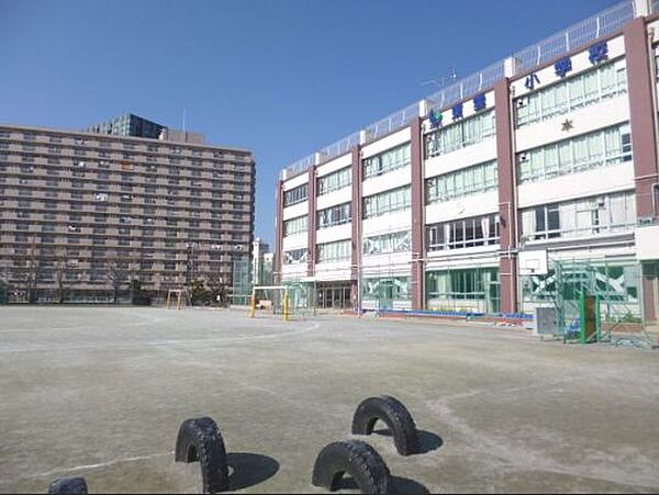 画像19:江東区立東雲小学校[900m]