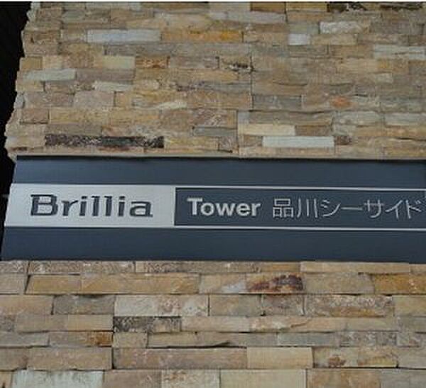 ブリリアタワー品川シーサイド（Brillia Tower 品 311｜東京都品川区東品川４丁目(賃貸マンション1K・3階・29.38㎡)の写真 その8