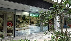 ＫＤＡ　ＳＨＩＮＡＧＡＷＡ　ＯＳＡＫＩ 702 ｜ 東京都品川区北品川５丁目10-6（賃貸マンション1K・7階・21.64㎡） その22