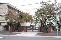 名古屋市立千早小学校 423m