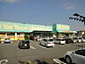 周辺：杏林堂ドラッグストア引佐店（7789m）