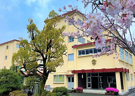 浜松市立中郡小学校(542m)