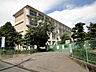 周辺：浜松市立初生小学校（290m）