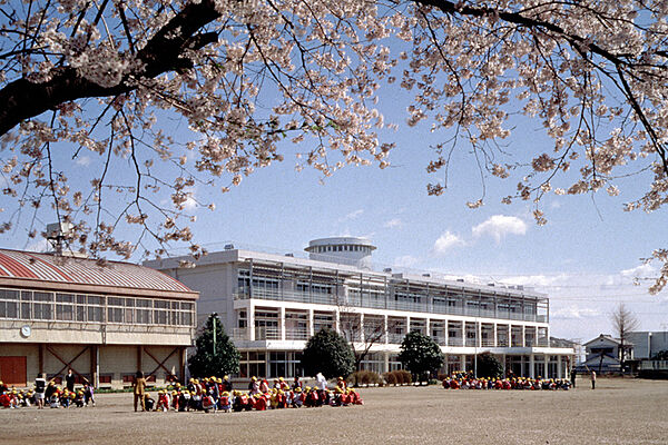 画像18:太田市立休泊小学校（1137m）