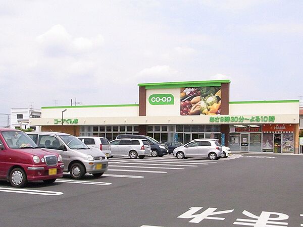 アイディーコート太田 301｜群馬県太田市飯田町(賃貸マンション3LDK・3階・66.00㎡)の写真 その15