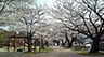 周辺：【公園】那珂中央公園まで428ｍ