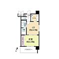 レジディア天神6階9.3万円
