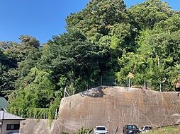 物件画像 東逸見町２丁目山林