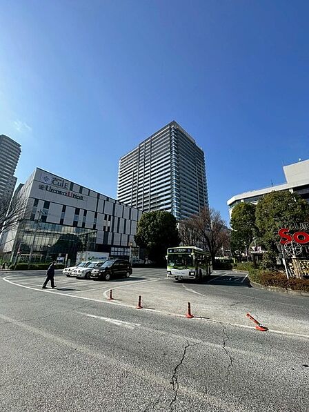 都市の活気と心地よい風を感じる毎日