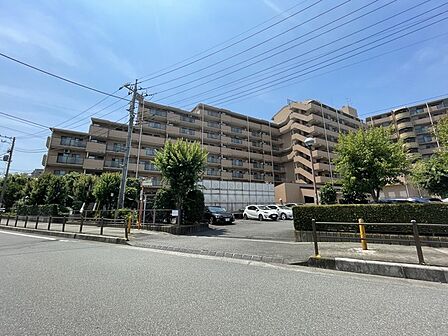 前面道路含む現地