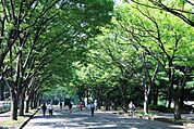 都立駒沢公園西口（948m）