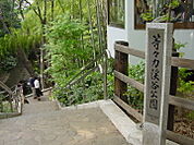 等々力渓谷公園（592m）