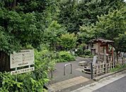 船橋三丁目能勢公園（509m）