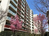 東京都世田谷区太子堂3丁目：物件画像／株式会社プライムコーポレーション　三軒茶屋店