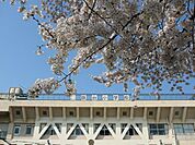 品川区立旗台小学校（251m）