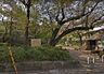 周辺：東山貝塚公園（46m）