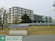 東京大学柏キャンパス 徒歩17分。大学・短大 1320m