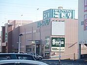 ニトリ 1610m