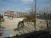 松戸市立河原塚小学校 903m