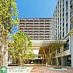 千葉県柏市若柴178-4：物件画像／株式会社タウンハウジング千葉　南流山店