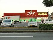 ゴダイドラッグ桜が丘店 1302m