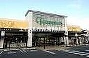 ハピッシュ国府市場店 1637m