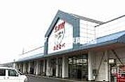 わたなべ生鮮館城東店 335m
