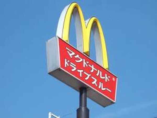 画像9:マクドナルド 750m